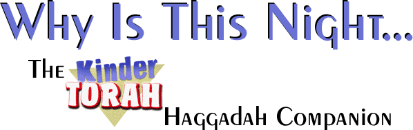 Why Is This Night... The Kinder Torah Haggadah Companion