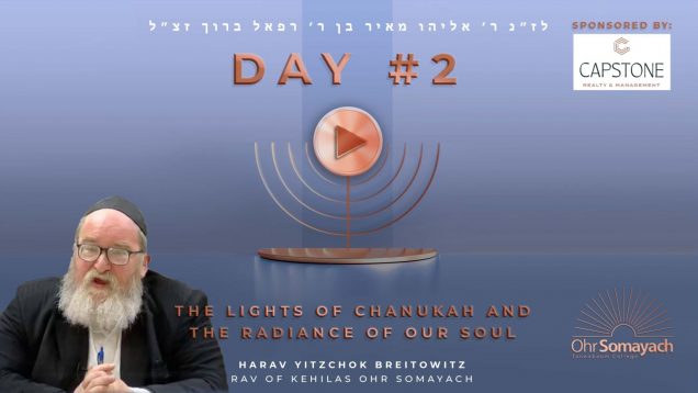 The Lights of Chanuka and the Radiance of Our Soul (NEW)