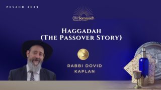 Haggadah (The Passover Story)