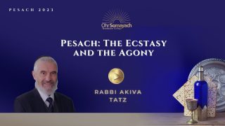 Pesach the Ecstasy and the Agony