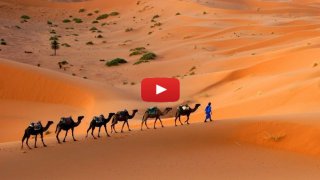 Becoming the Desert – Bamidbar