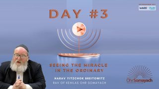 Seeing the Miracle in the Ordinary (Harav Yitzchak Breitowitz)