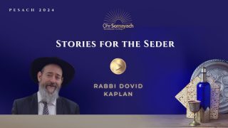 Stories of the Seder – (Rabbi Dovid Kaplan)
