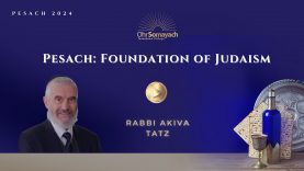 Pesach: Foundation of Judaism – (Rabbi Akiva Tatz)