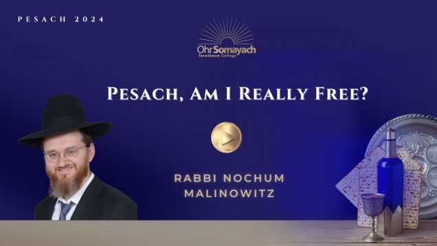 Pesach, Am I Really Free? – (Rabbi Nochum Malinowitz)