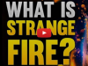 Strange Fire – Parshat Shemini