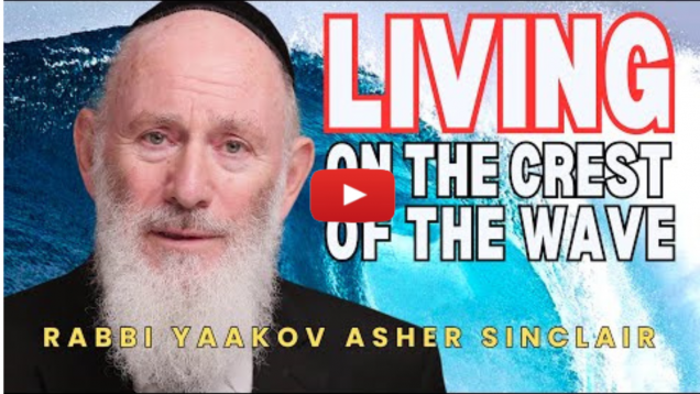 Living on the Crest of the Wave – Noach