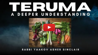 Teruma – A Deeper Understanding