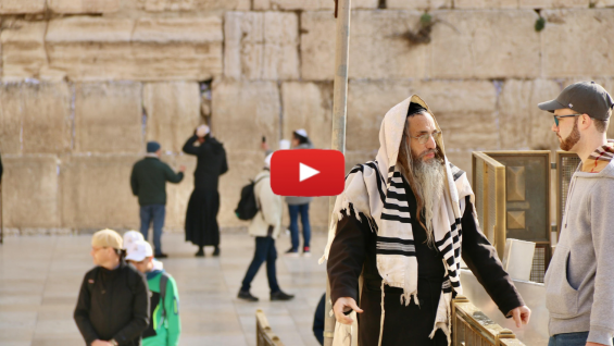 Ask the Rabbi: Parshat Shemini