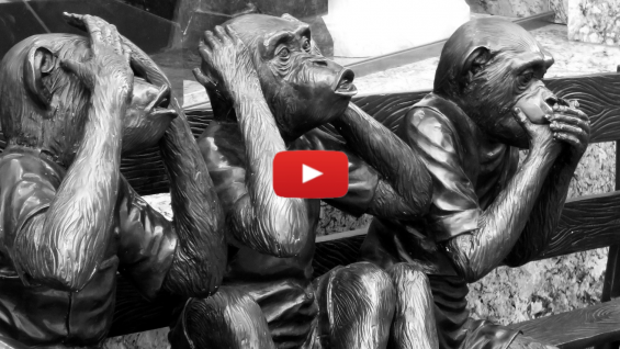 Flush the Losh: Parshat Tazria-Metzora