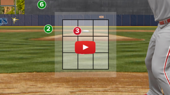 The Strike Zone: Parshat Acharei Mot-Kedoshim