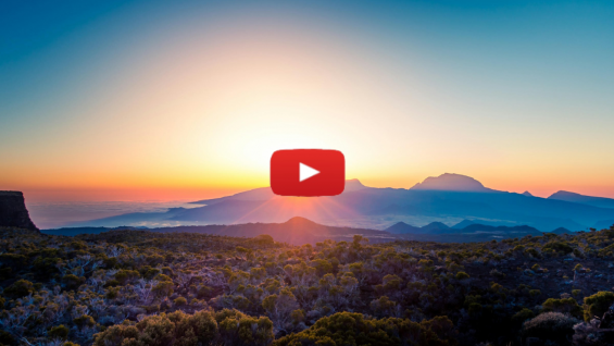 Light Up the Night: Shavuot