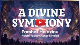 A Divine Symphony – Parshat Ha’azinu