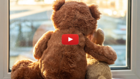 Sensitivity Training: Parshat Ki Teitzei