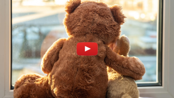 Sensitivity Training: Parshat Ki Teitzei