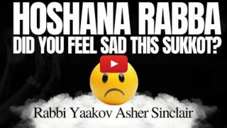 Did You Feel Sad This Sukkot?
