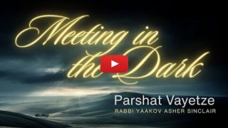 Meeting in the Dark – Parshat Vayetze