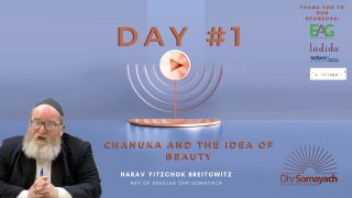 Chanukah and the Idea of Beauty
