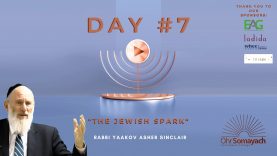 The Jewish Spark – Rabbi Yaakov Asher Sinclair
