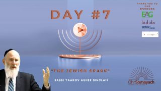 The Jewish Spark – Rabbi Yaakov Asher Sinclair