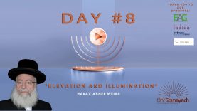 Elevation and Illumination – Harav Asher Weiss