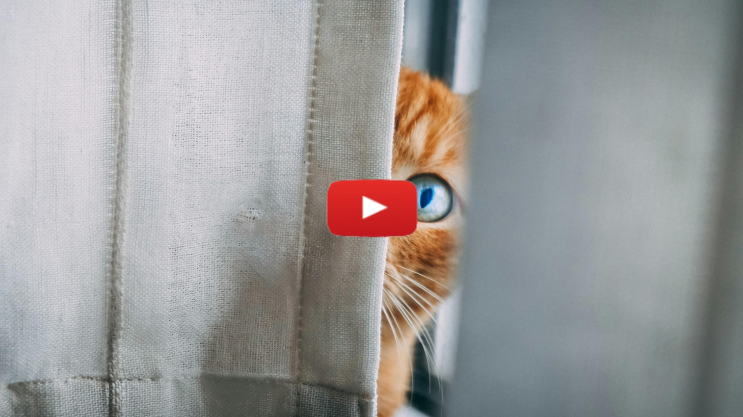 Who Is Watching Us?: Parshat Vayeishev