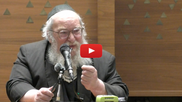 Special Event. Coming Together as One (Harav Yitzchak Breitowitz) (Jewish Understanding)