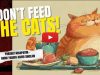 Don’t Feed the Cats Mishpatim (1)