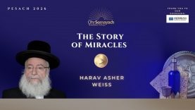 The Story of Miracles – Pesach 2026