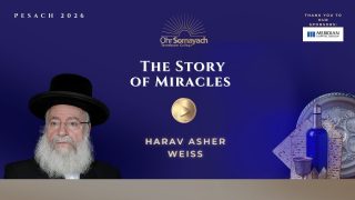 The Story of Miracles – Pesach 2026