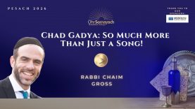 Chad Gadya: So Much MOre Than Just a Song! – Pesach 2026