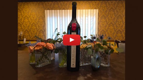 Double Magnum: Parshat Ki Tisa