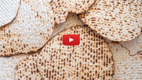 The Taste of Freedom: Passover
