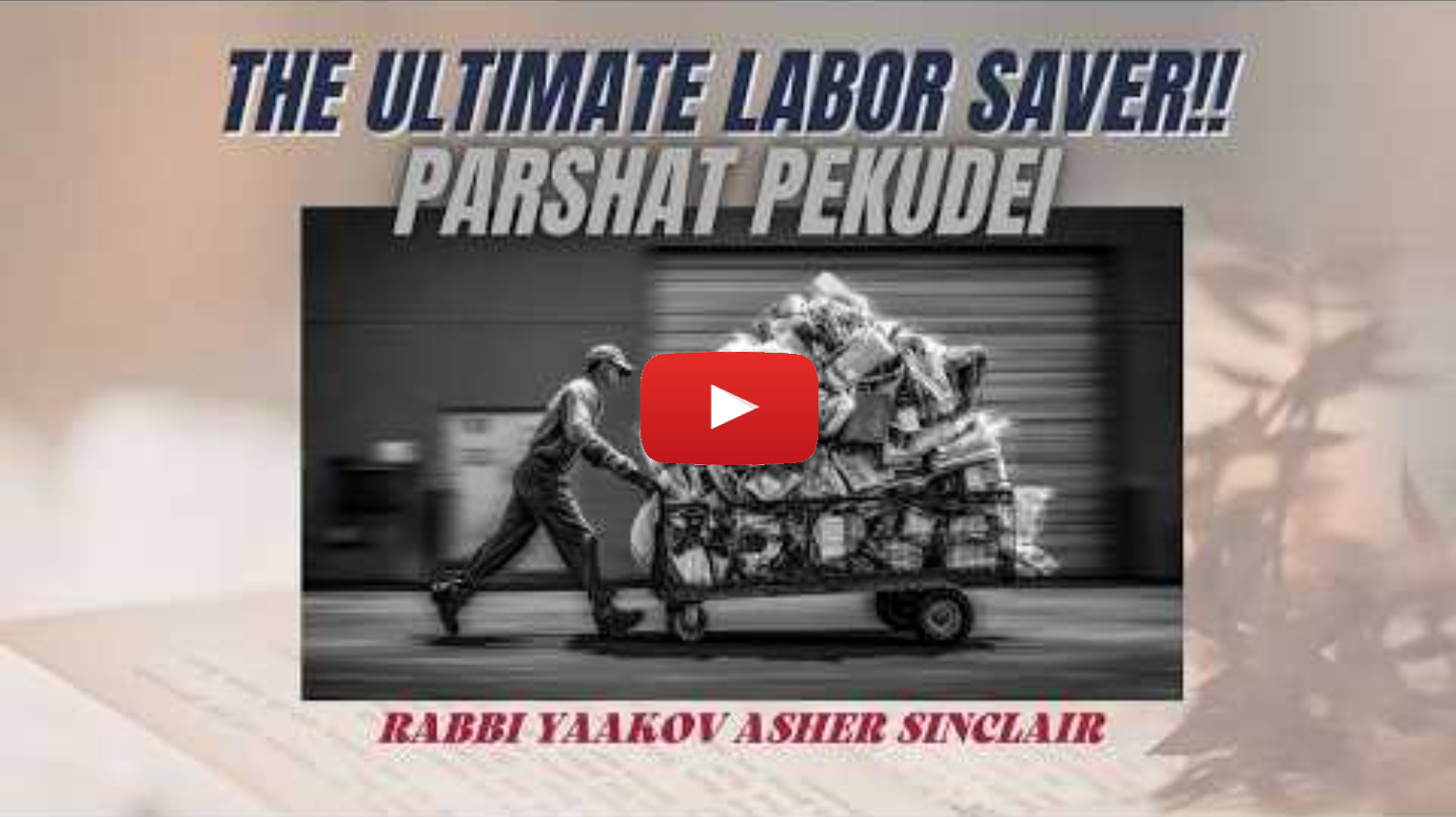 The Ultimate Labor Saver
