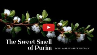 The Sweet Smell of Purim