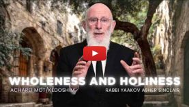 Is Holiness only for the Holy? Parshat Acharei Mot – Kedoshim