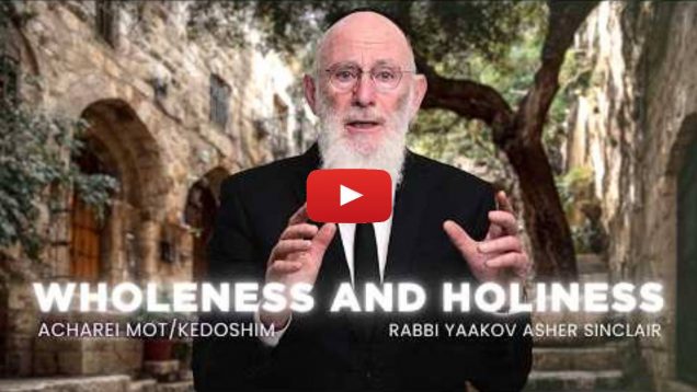 Is Holiness only for the Holy? Parshat Acharei Mot – Kedoshim